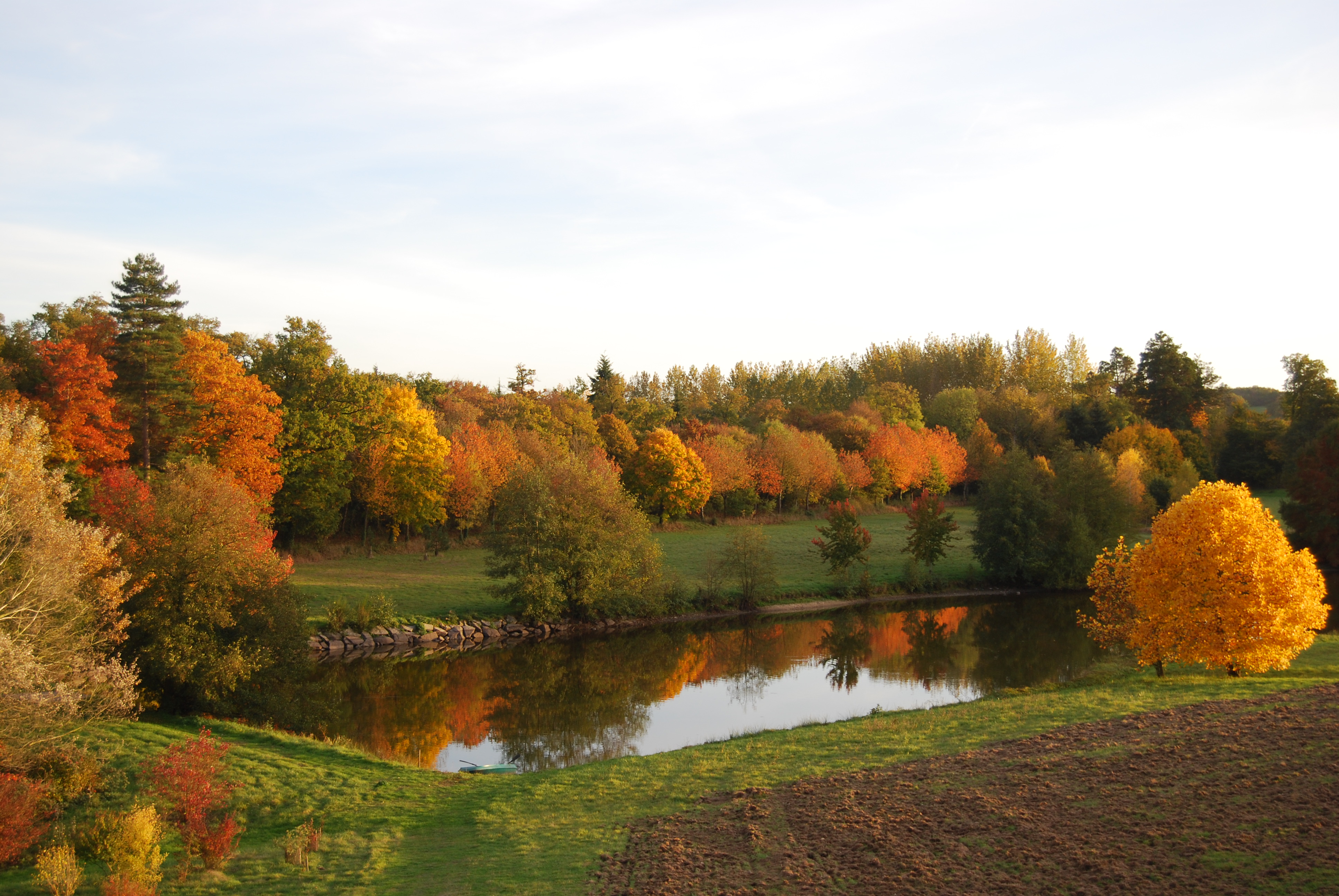 Parc et Jardins du Domaine de Tournelay, Nueil-les-Aubiers - photo 6