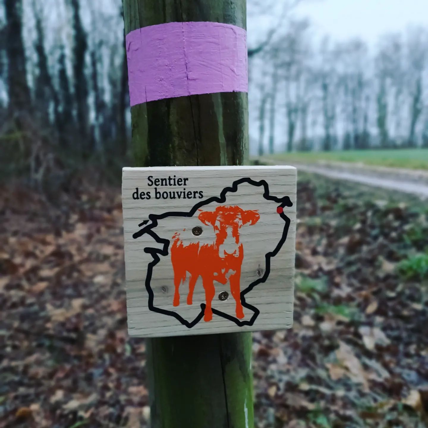 L’impensable rumeur : une rando enquête !, Saint-Jory-de-Chalais - photo 3