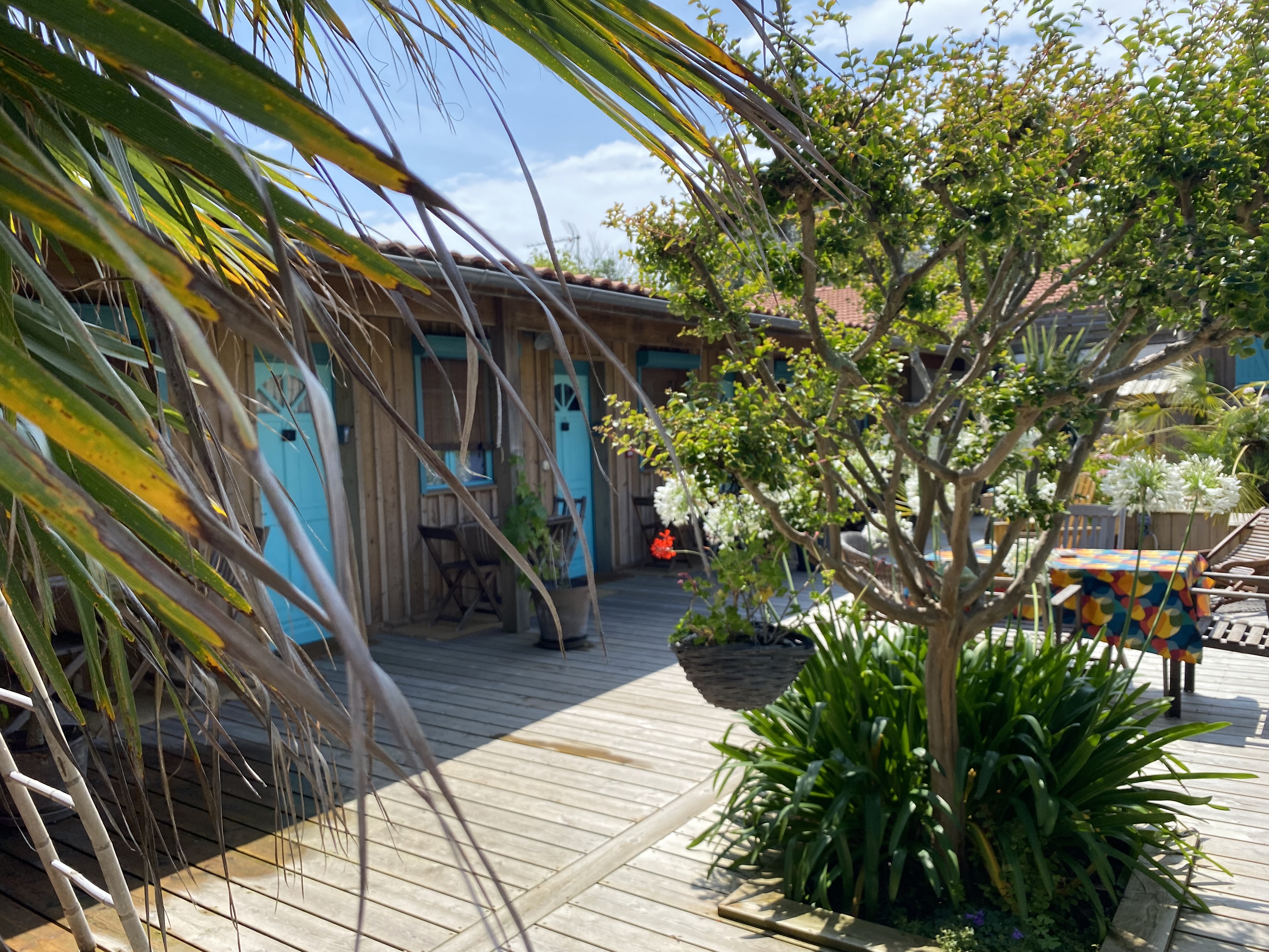 L'Océane, Lège-Cap-Ferret - photo 5