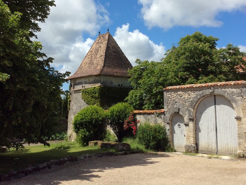 L'Or des Anges