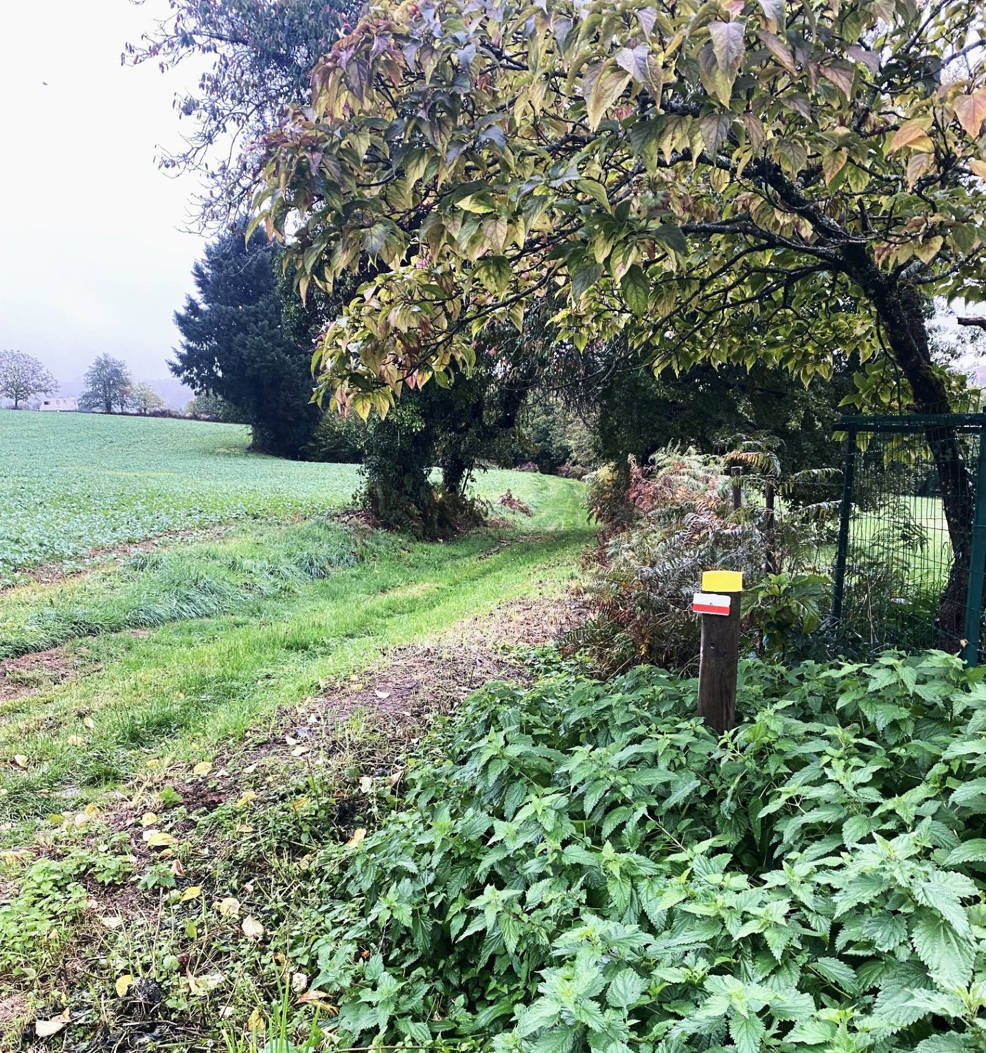 Boucle de Grateloup, La Coquille - photo 3