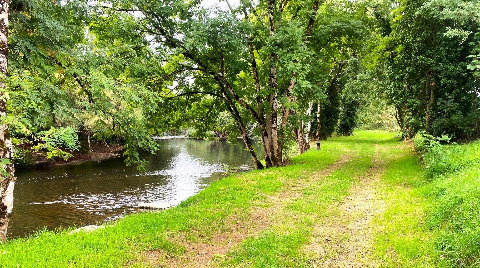Boucle de Grattelouve, Cubjac-Auvézère-Val d'Ans - photo 5