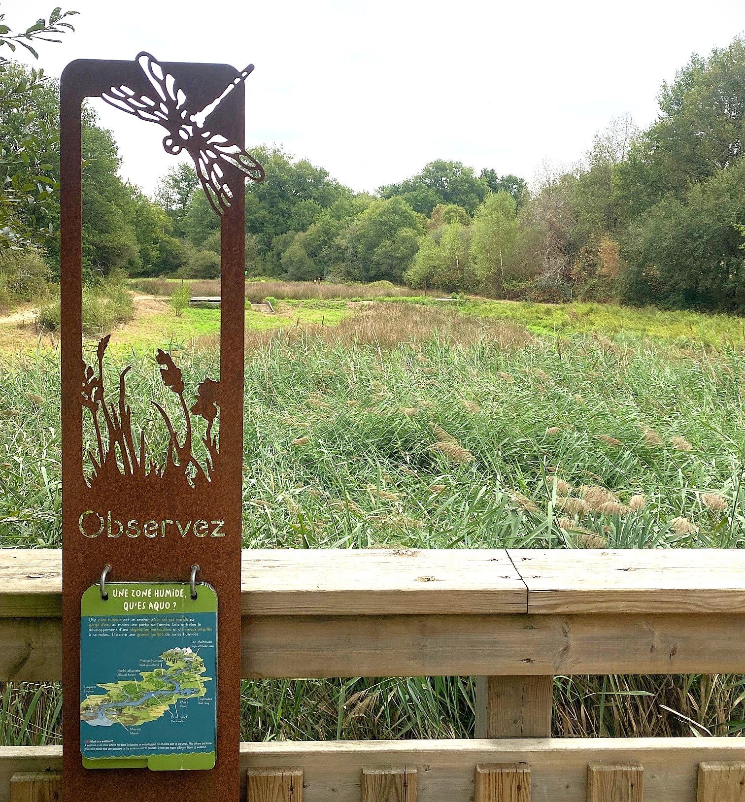 Boucle de La Jemaye - Le Grand Étang - photo 5