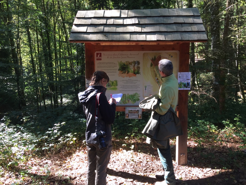 Base VTT FFC des Monts du Limousin - Circuit 18 L’arboretum, La Jonchère-Saint-Maurice - photo 2