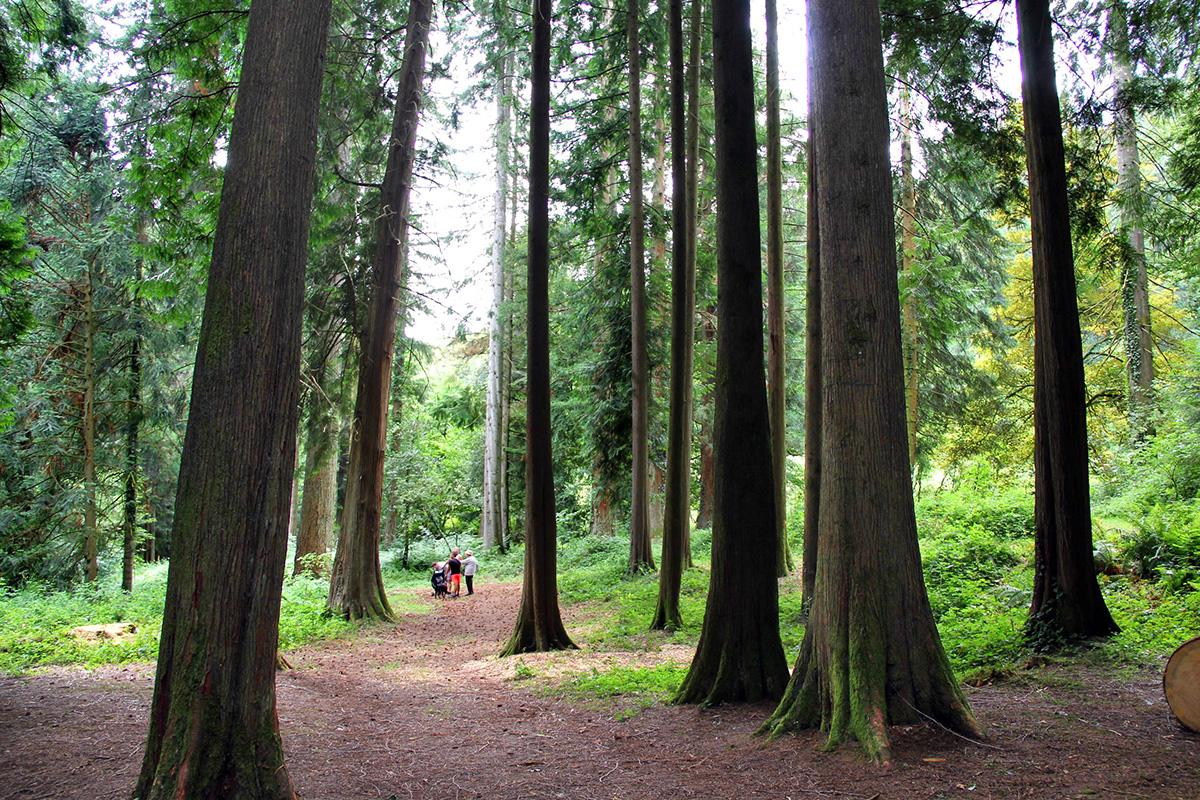 Chemin des kaoliniers, La Jonchère-Saint-Maurice - photo 5