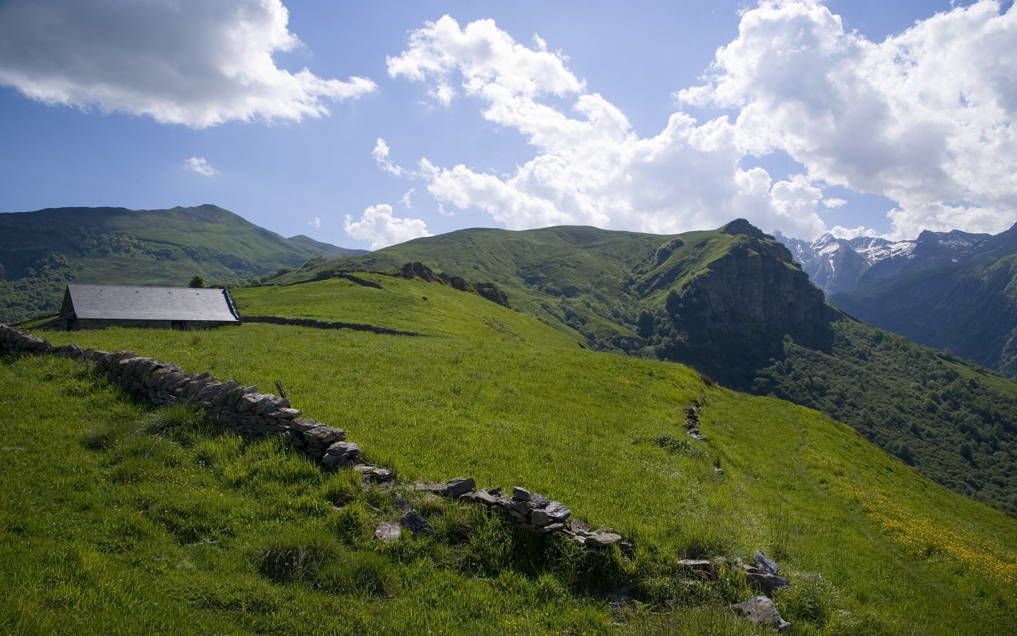 La montagne verte - photo 2