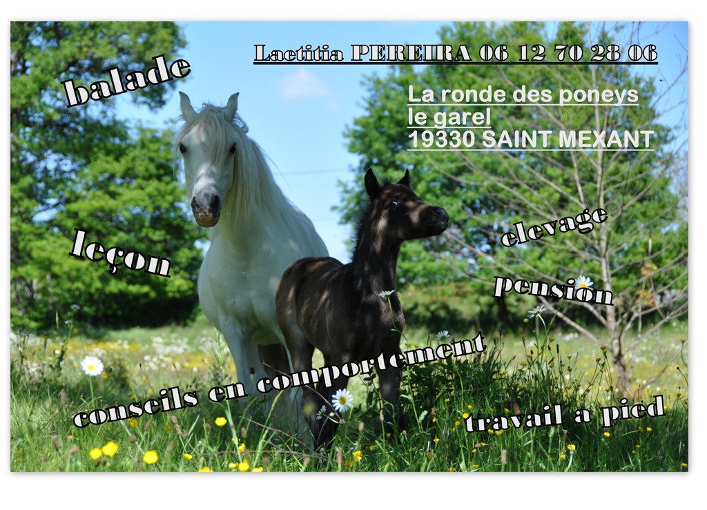 La Ronde des Poneys