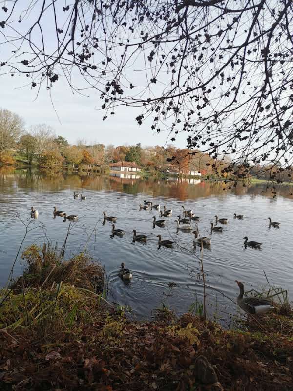 T3 - 1 à 4 pers. - BOUL204/D, Saint-Paul-lès-Dax - photo 8