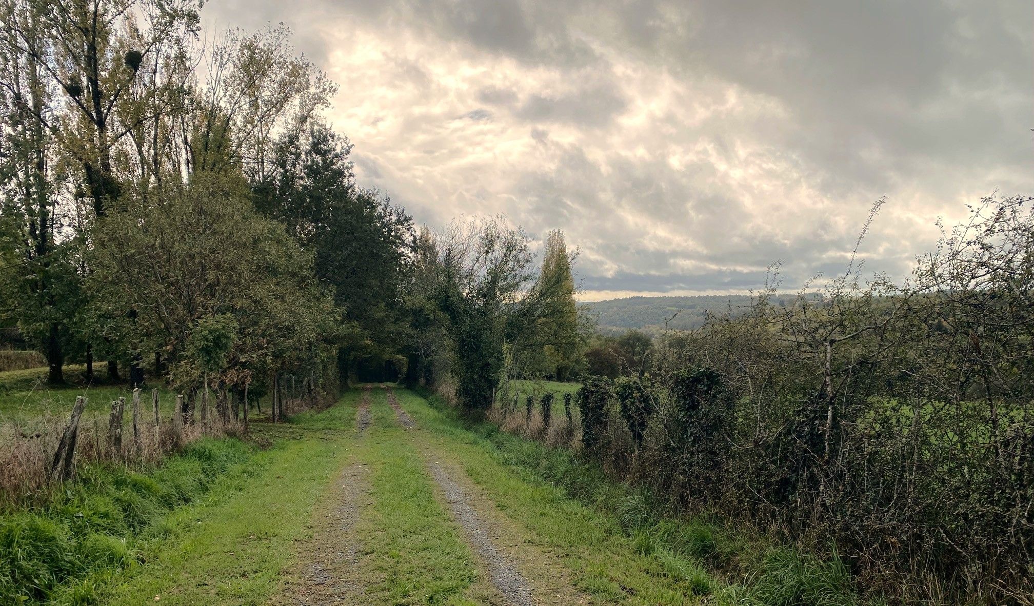 Boucle de Laujardie, Lanouaille - photo 2