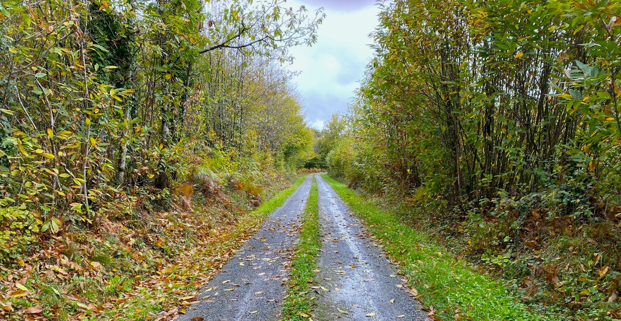 Boucle du Puy, Lanouaille - photo 4