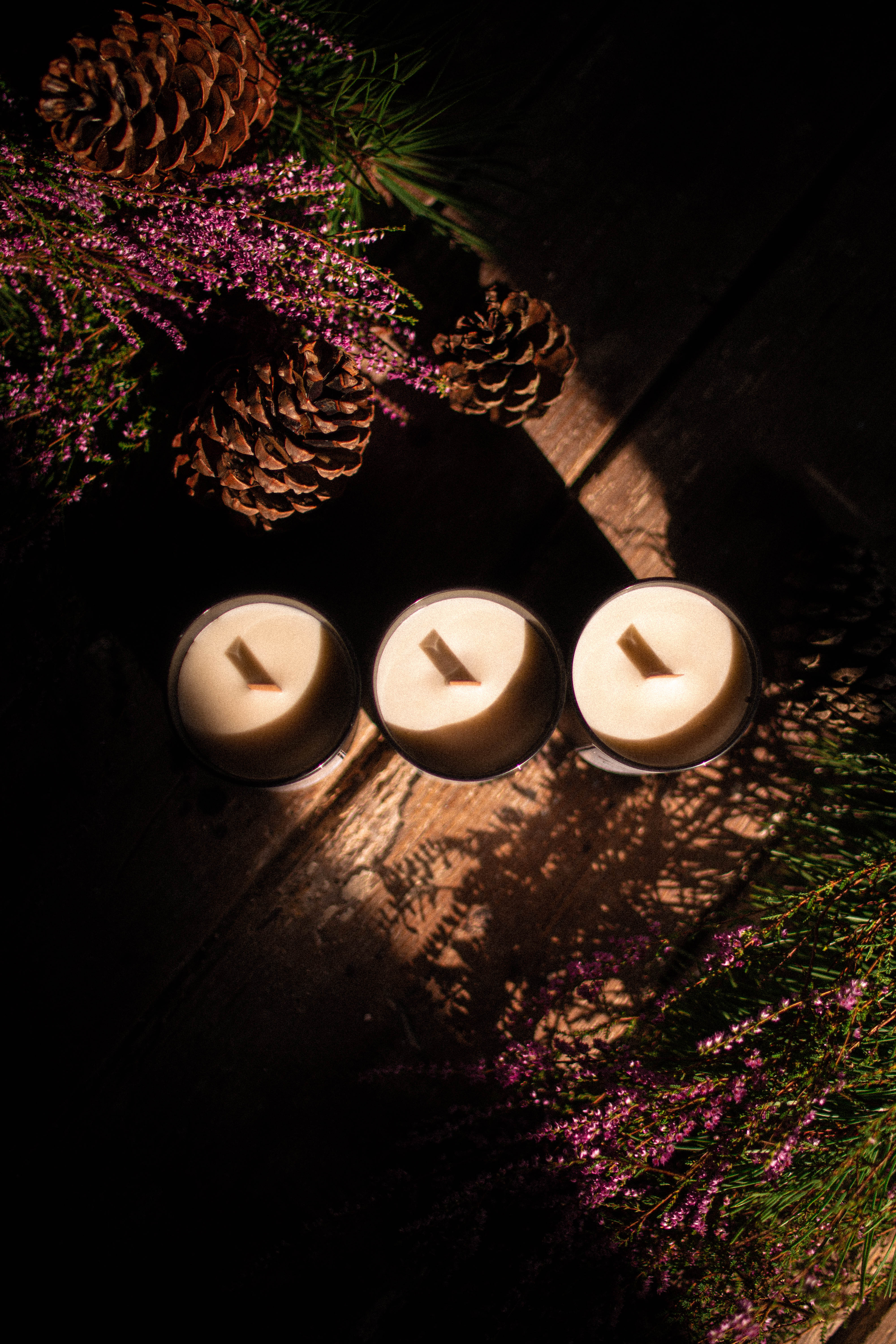 Les Bougies d'Armagnac — photo 2