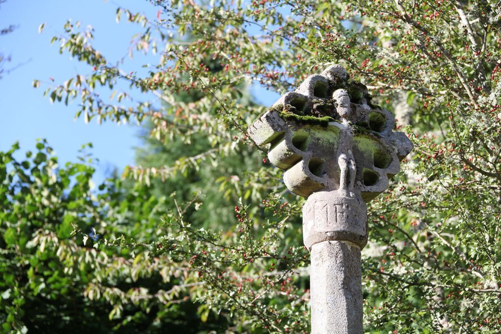 VTT - Gravel - Le Champ Nègre - 18 km - circuit 13, Meymac - photo 3