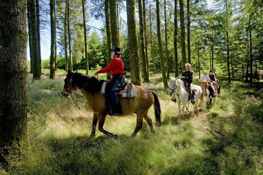 Le Petit Canada, Viam - photo 3