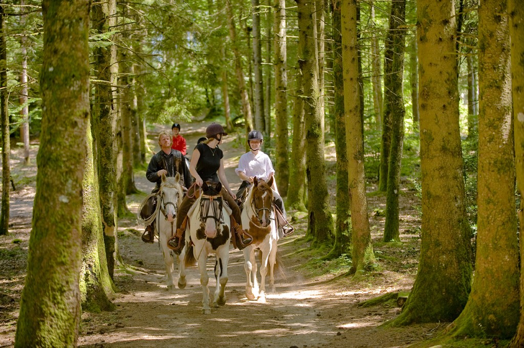 Le Petit Canada, Viam