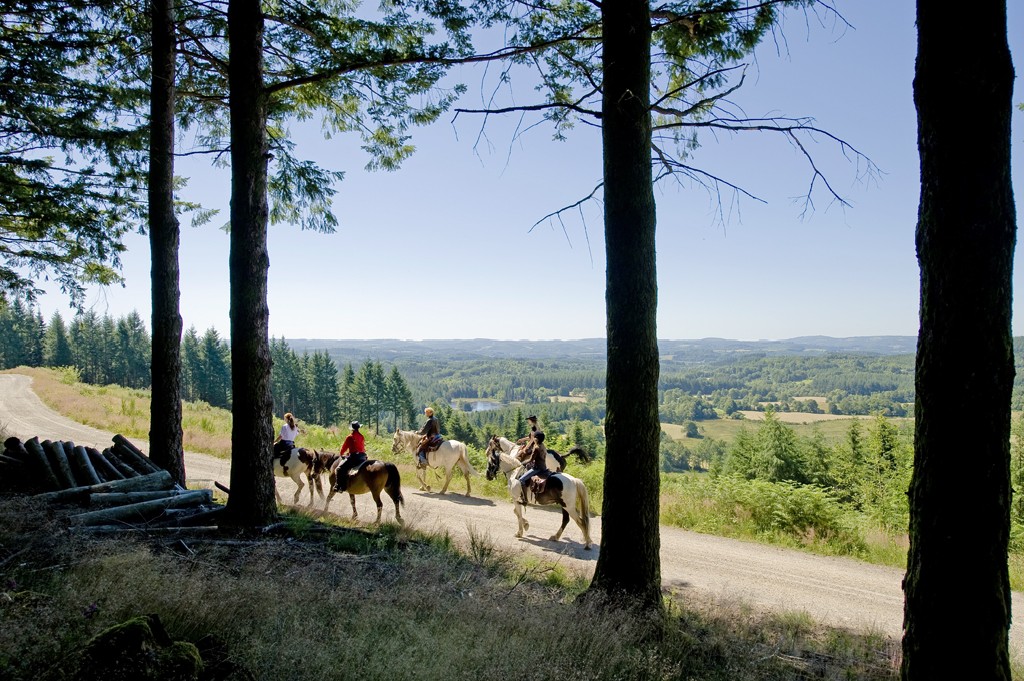 Le Petit Canada, Viam - photo 4