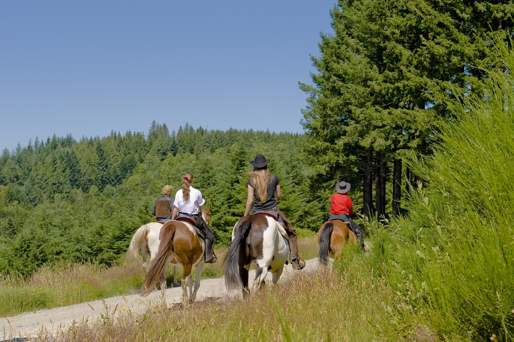 Le Petit Canada, Viam - photo 2