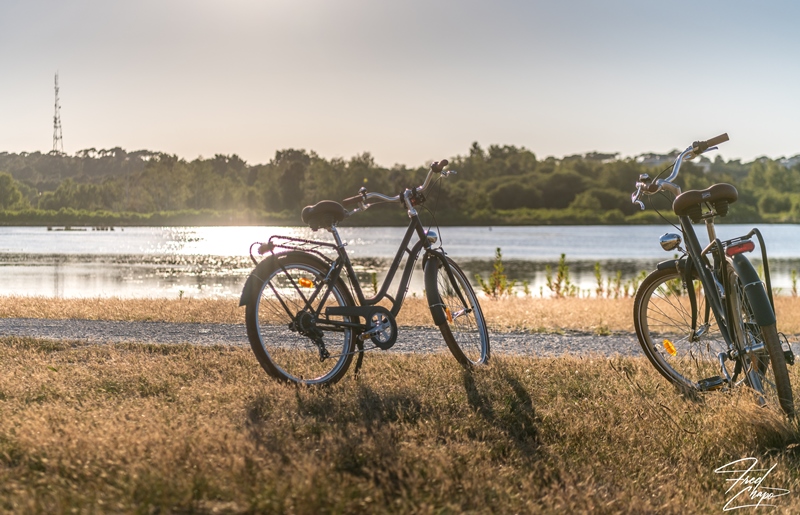 Le Vélotier