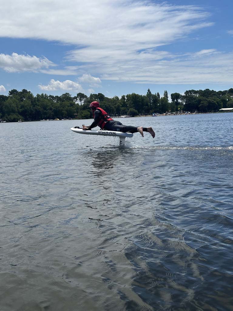 Foil in Landes - photo 2