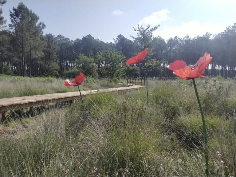 Jardin de la Côte d'Argent