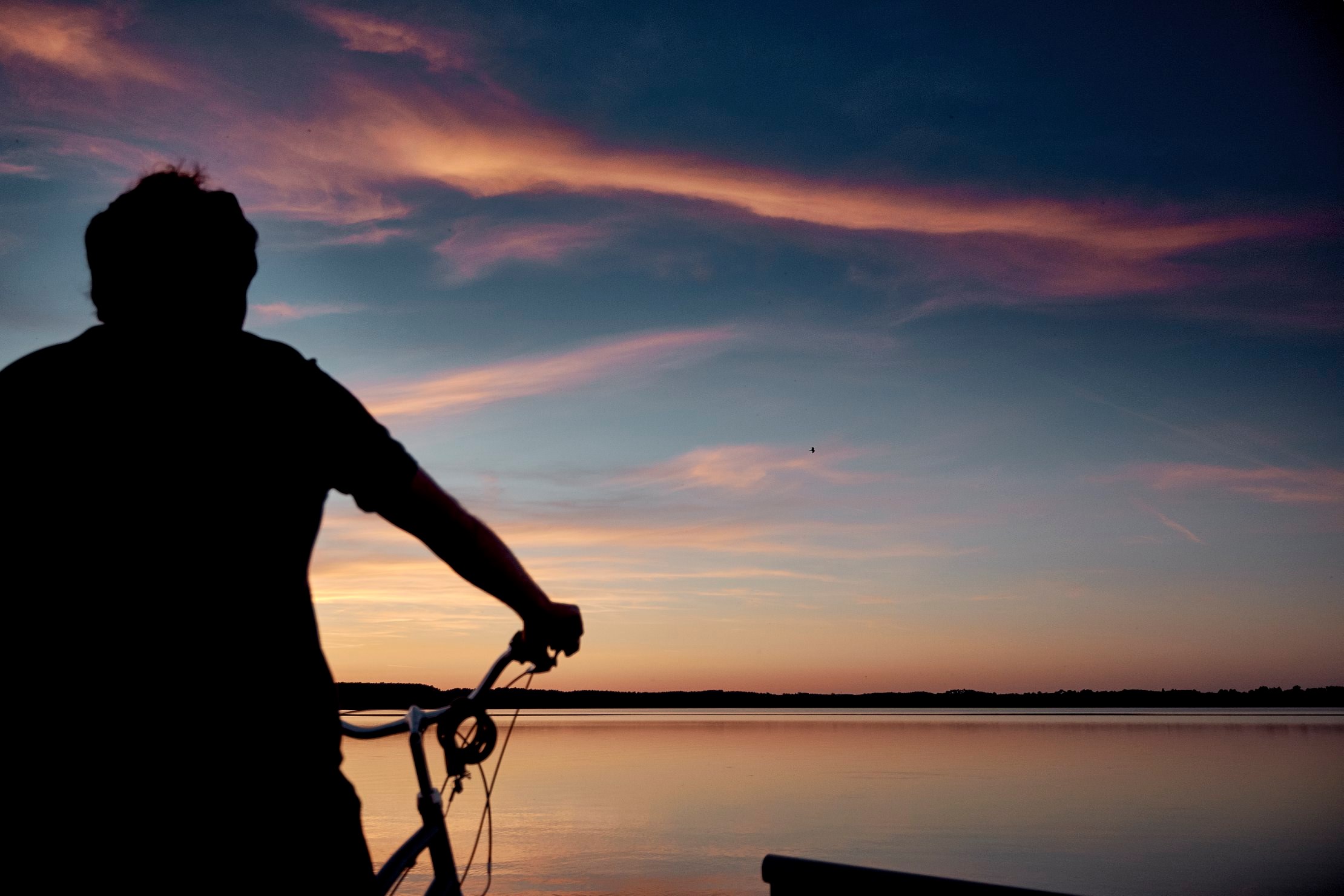 La Cyclerie - Location de vélos - photo 2