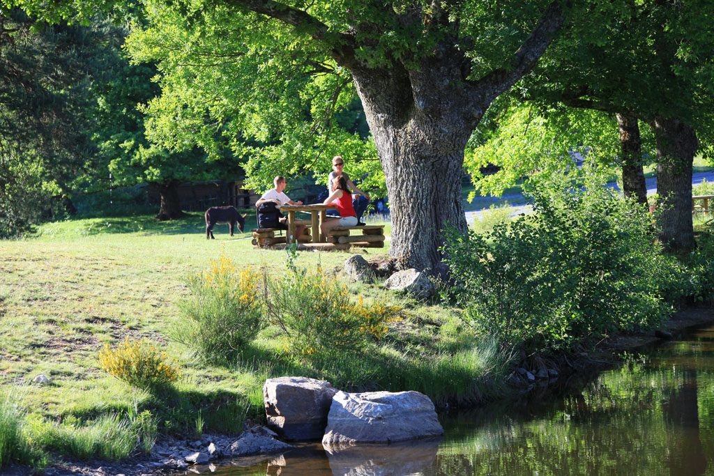 VTT - Gravel - Les Abbesses - 16 km - circuit 16, Combressol - photo 4