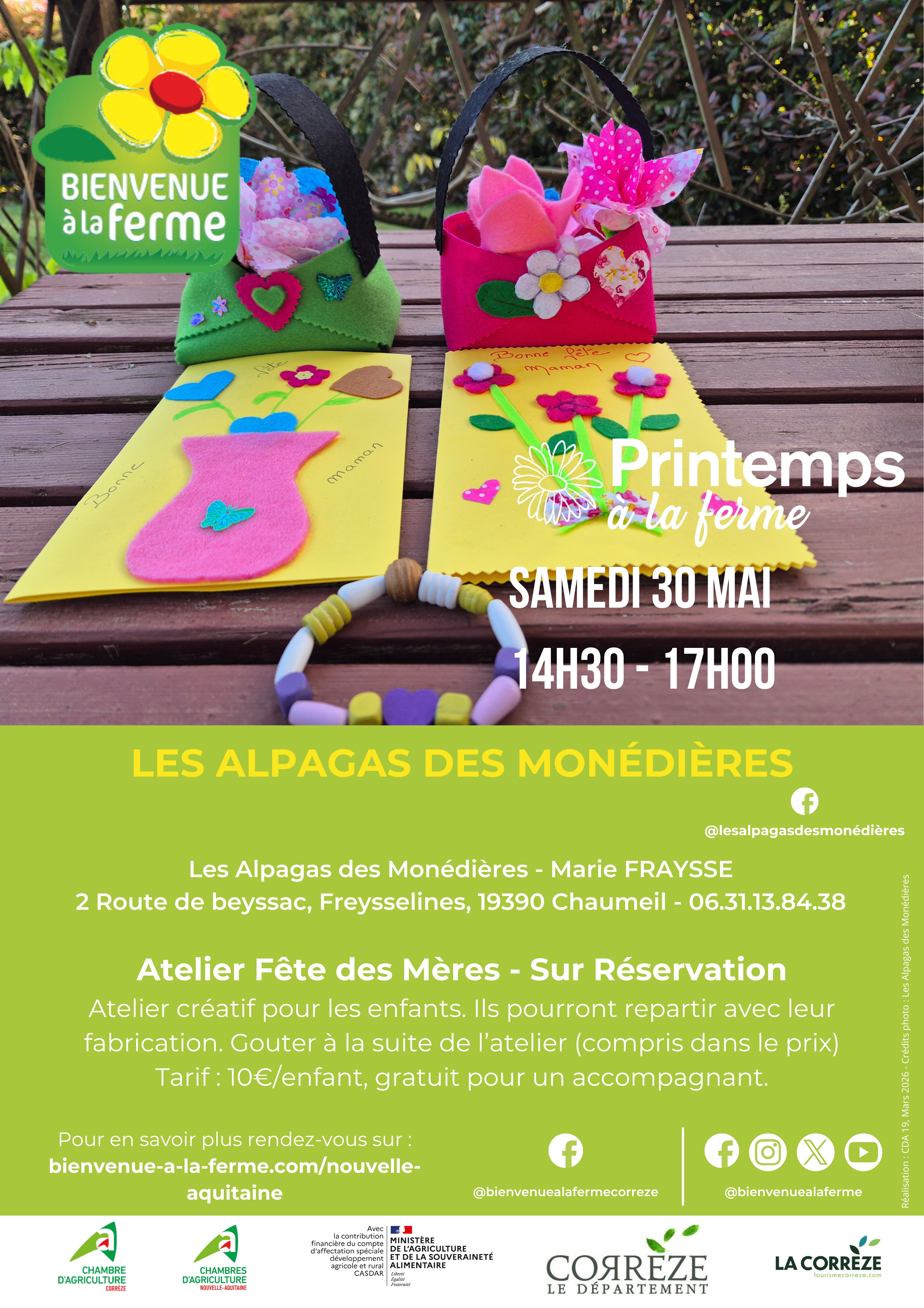 Printemps à la ferme - Les Alpagas des Monédières