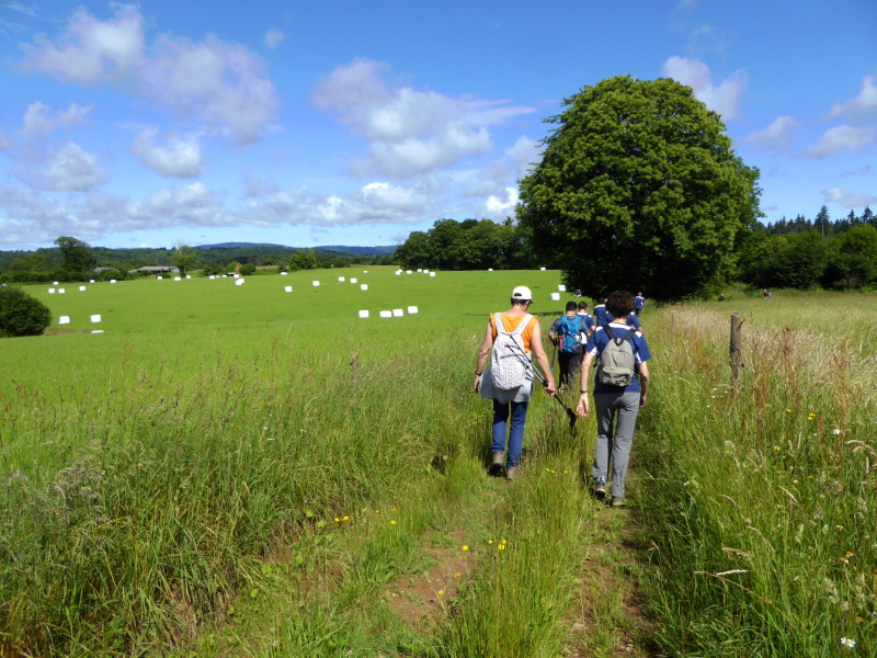 Base VTT FFC des Monts du Limousin - Circuit 12 Au cœur de nos forêts, Les Billanges - photo 2