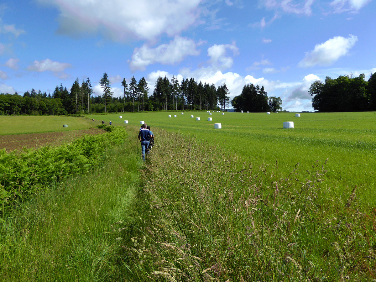 Circuit de la mûre, Les Billanges