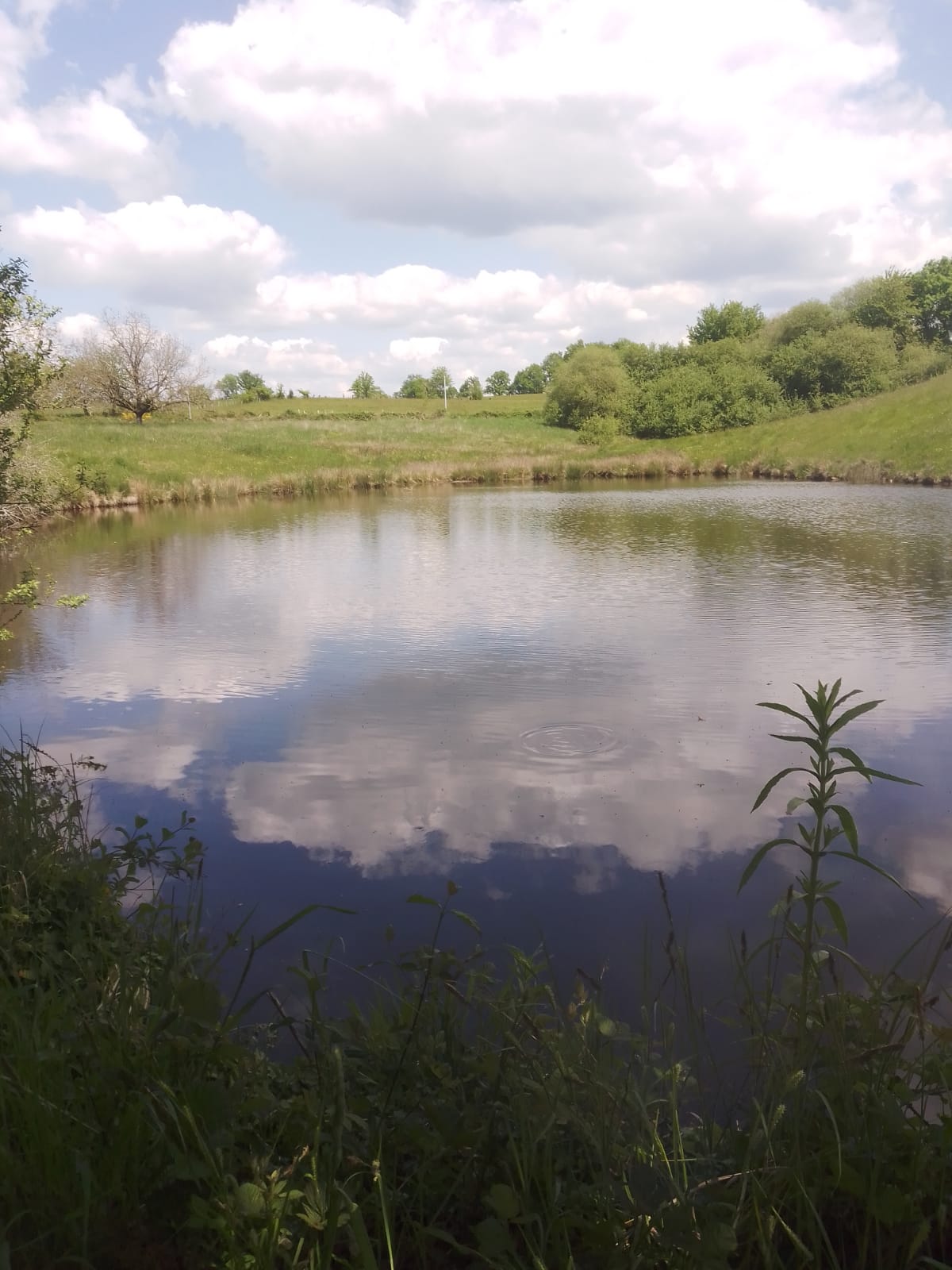 Gîte les Chaumes, Saint-Jory-de-Chalais - photo 7