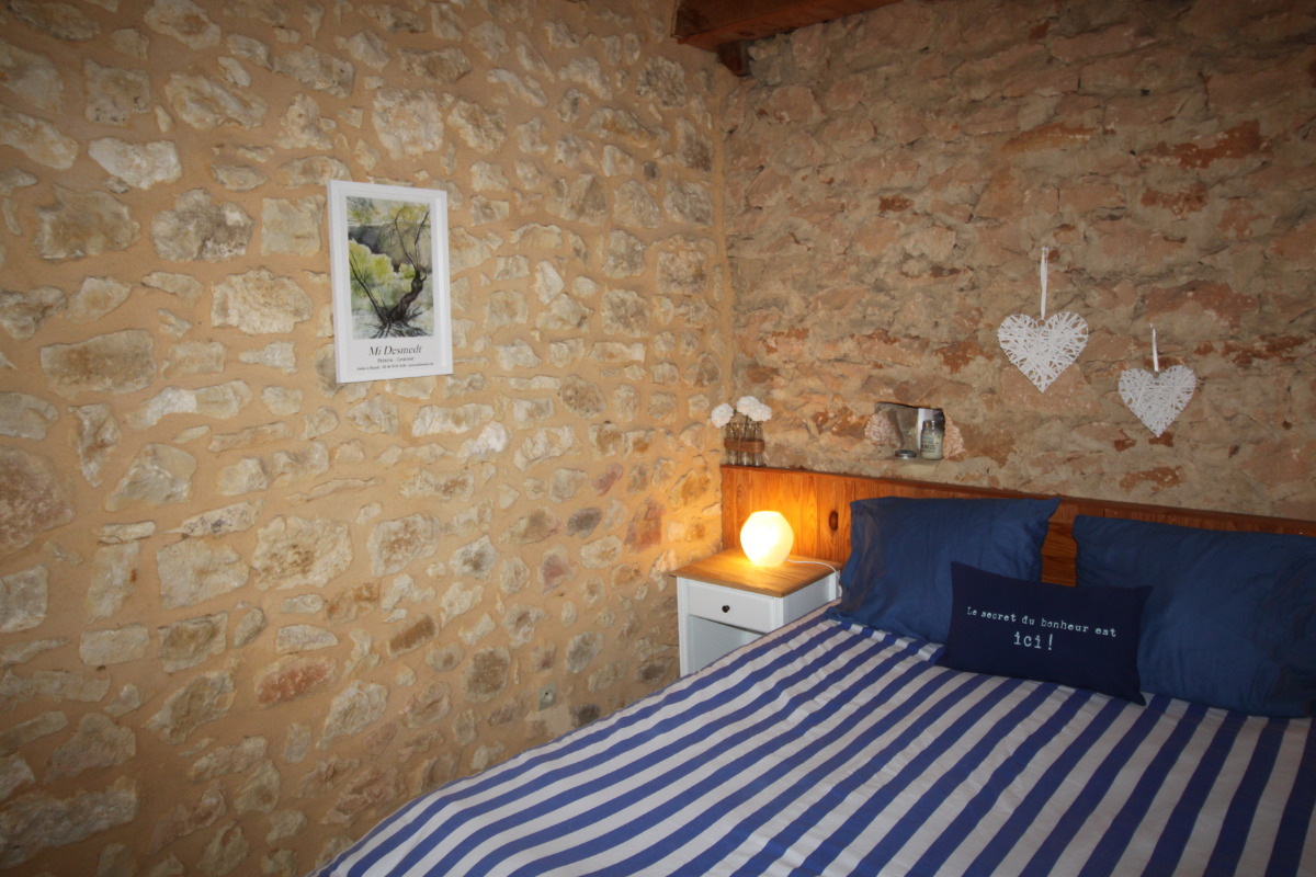 La Maison de Lassagne - Les Iris, Saint-André-d'Allas - photo 8