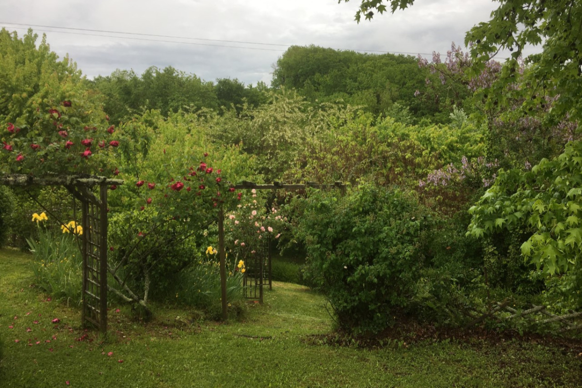 La Maison de Lassagne - Les Roses, Saint-André-d'Allas