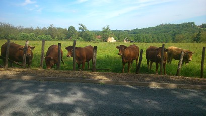 Boucle de Nailhac, Nailhac - photo 2