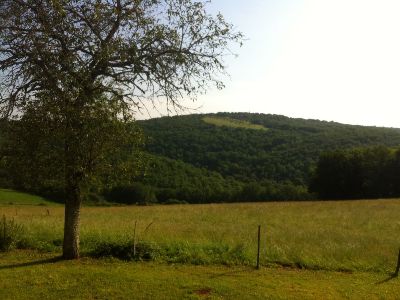 Les Cigales, La Dornac - photo 2
