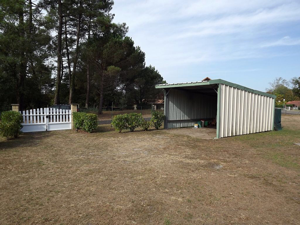 Nolibois Pierre - photo 5