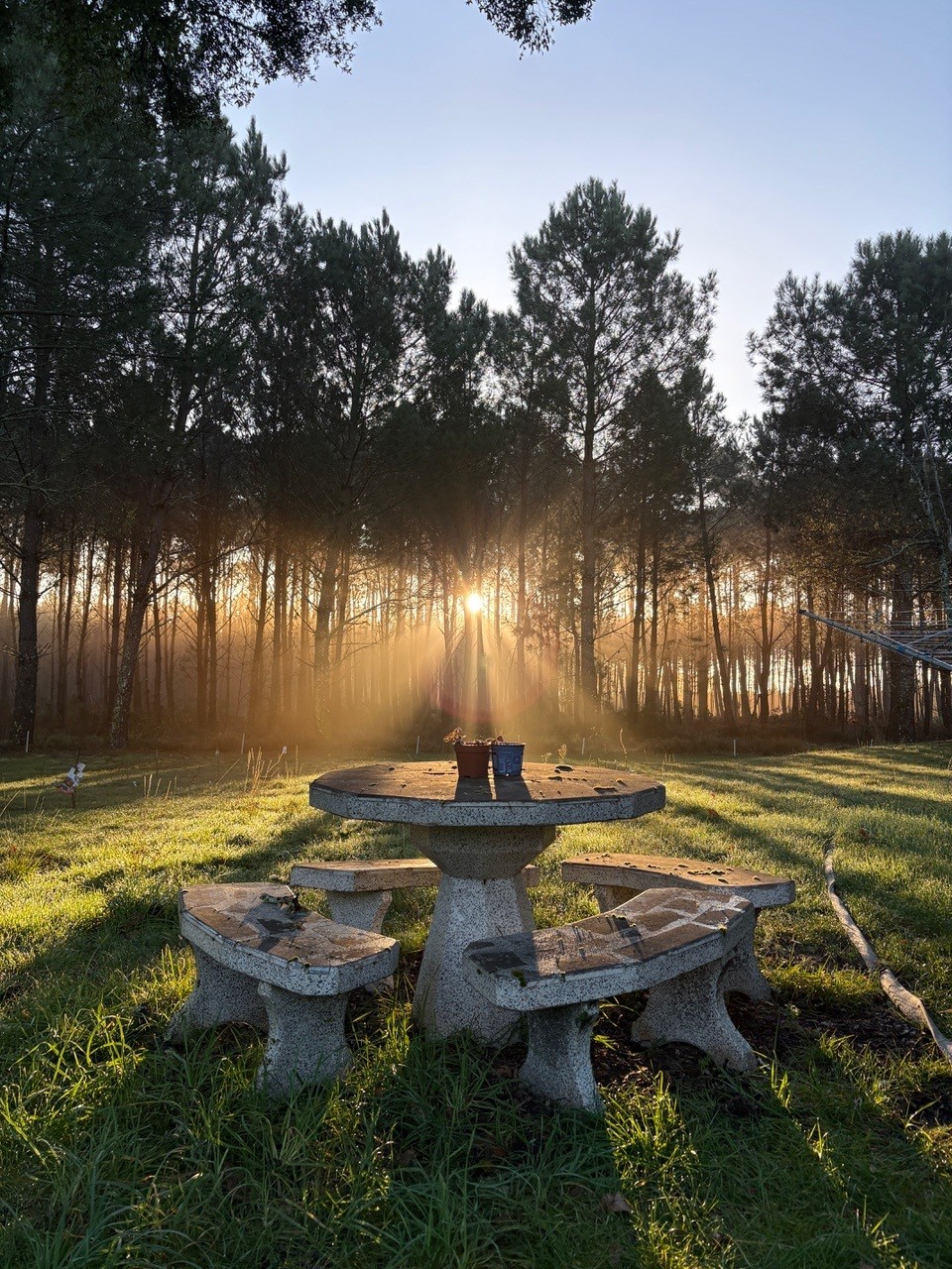 Gîte ALOHA, Lévignacq - photo 9