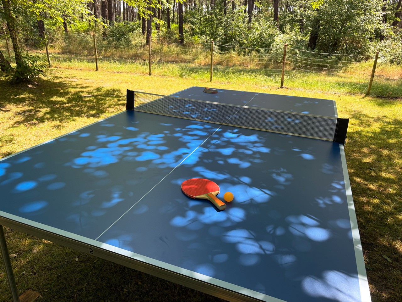 Gîte ALOHA, Lévignacq - photo 8