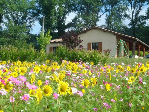 Les Moulineaux - photo 5