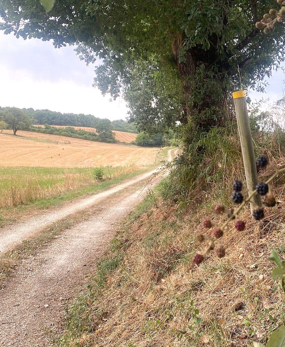 Boucle des Brames, Sorges et Ligueux en Périgord - photo 4