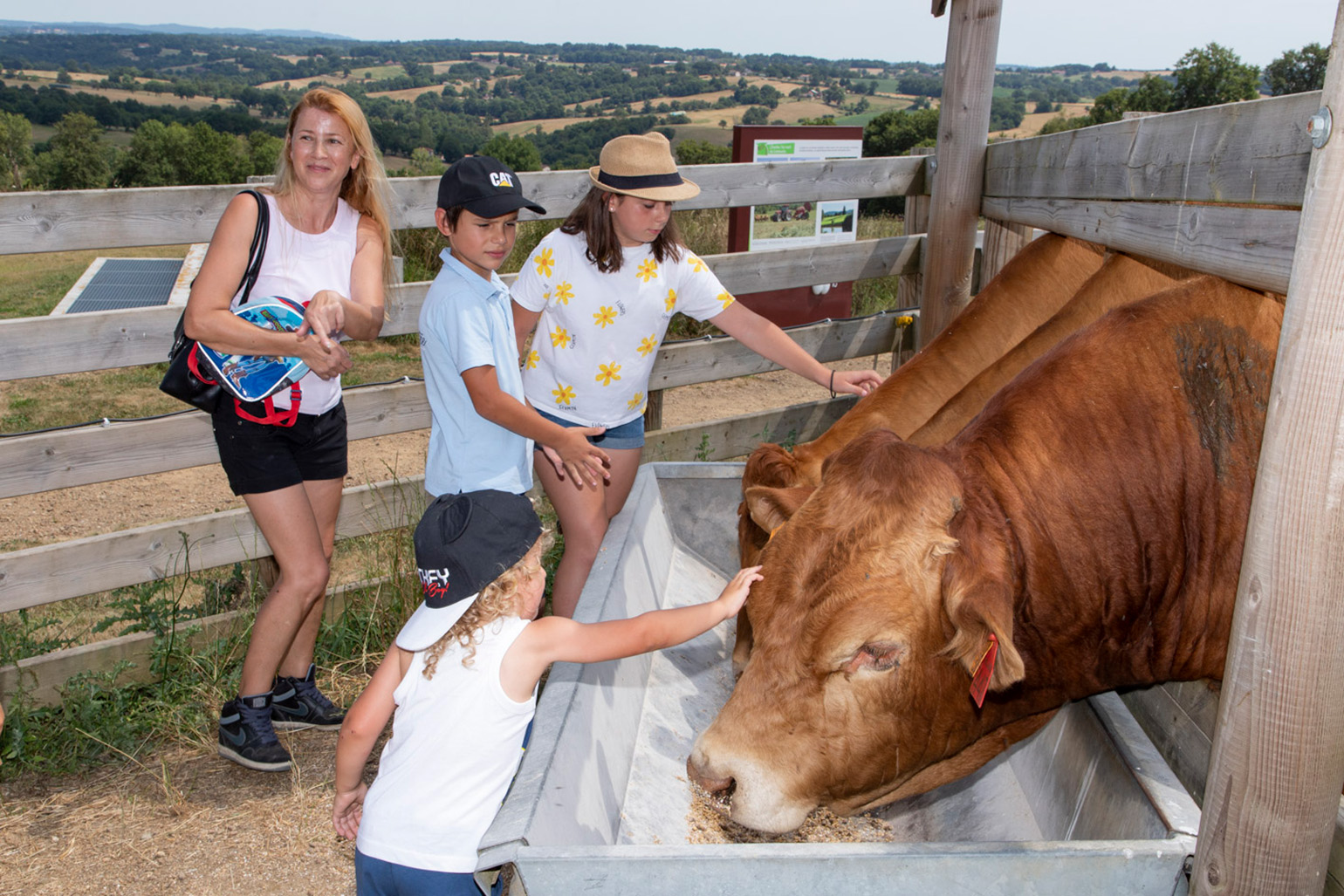Limousine Park, Boisseuil - photo 3