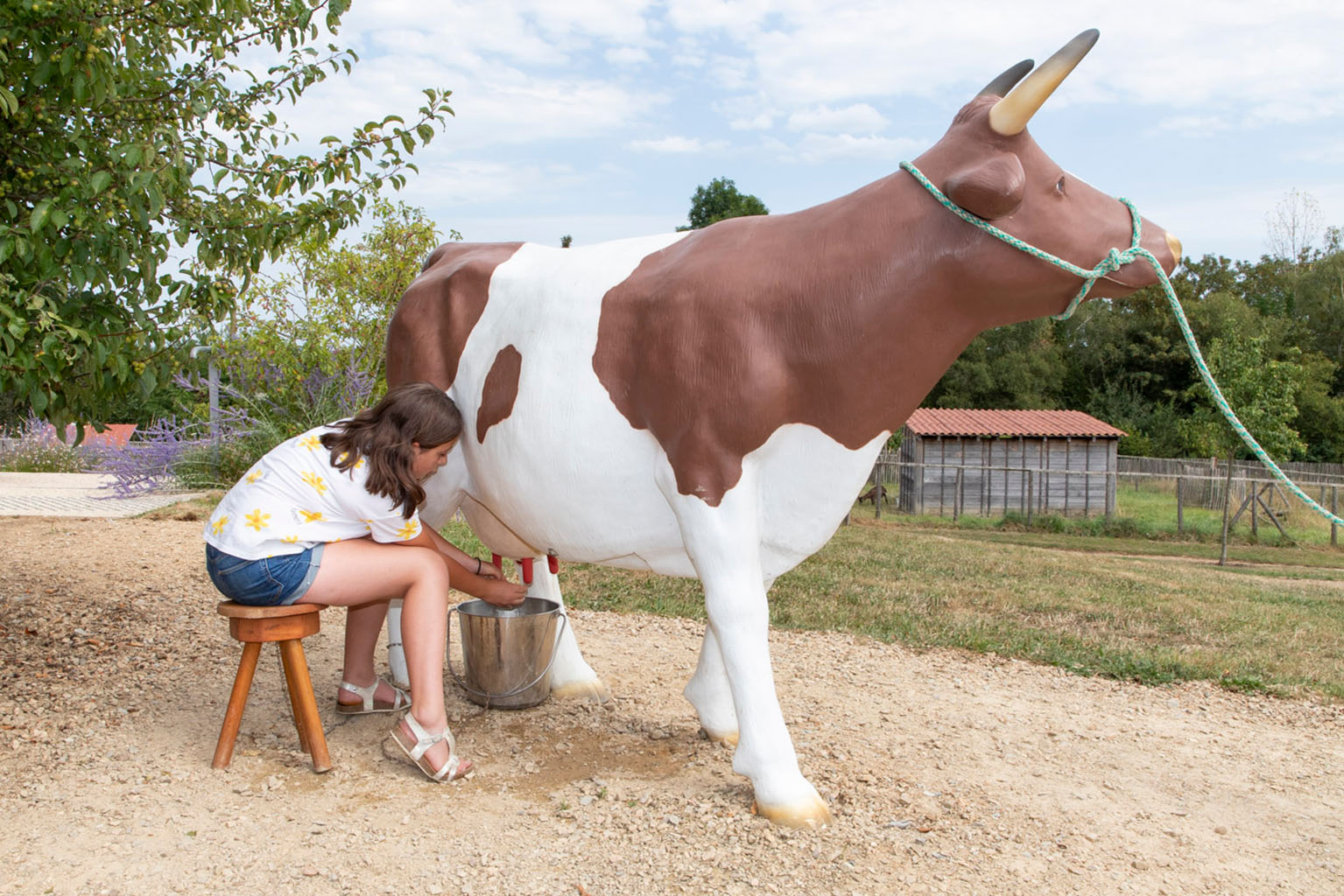Limousine Park, Boisseuil - photo 5