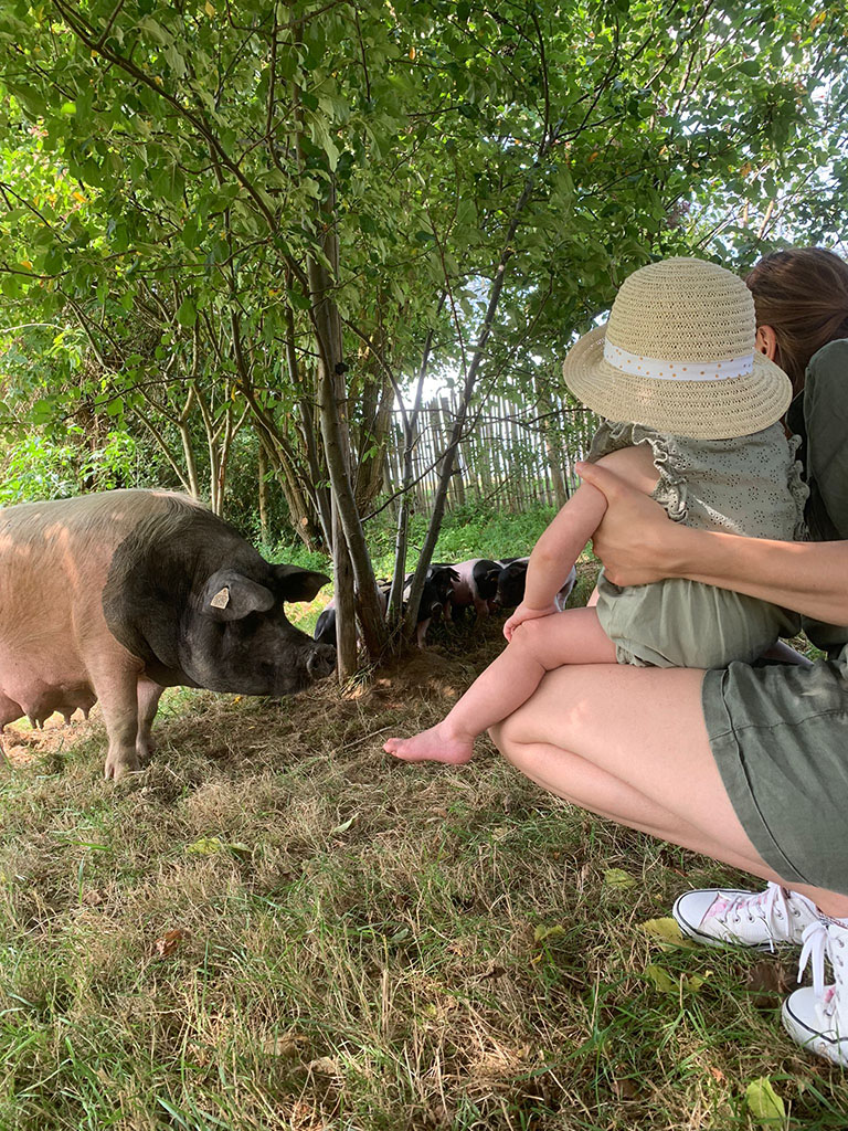 Limousine Park, Boisseuil - photo 2