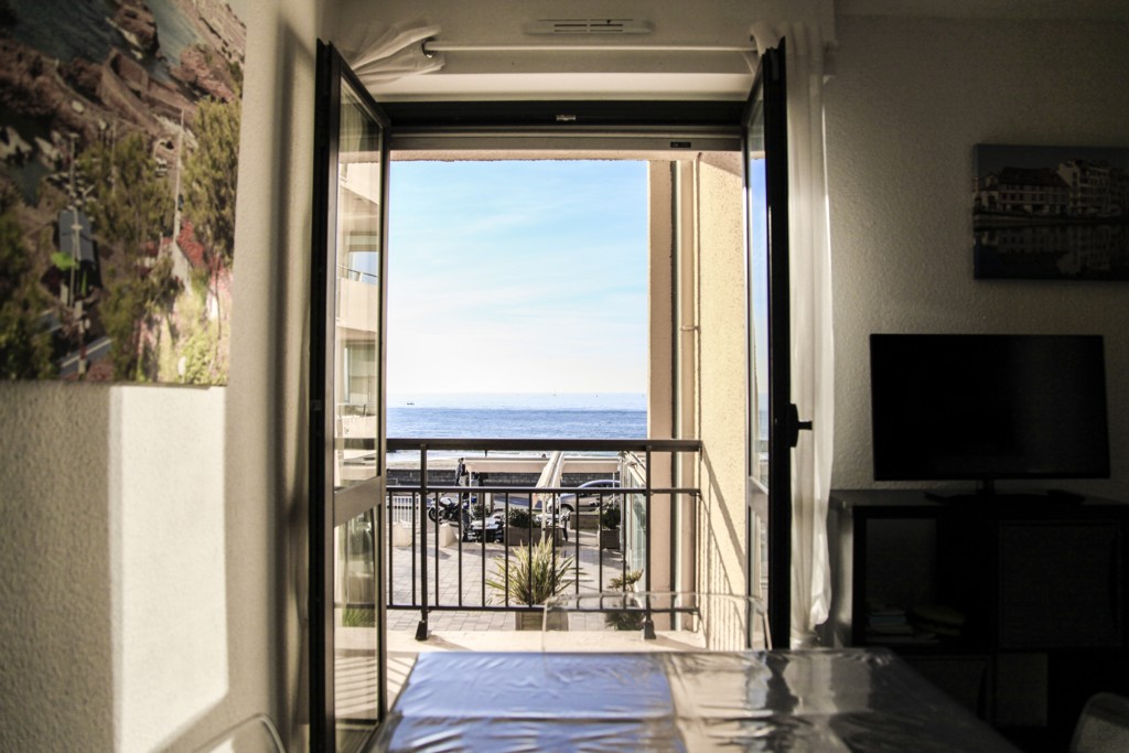 Ortolan des Sables - photo 4