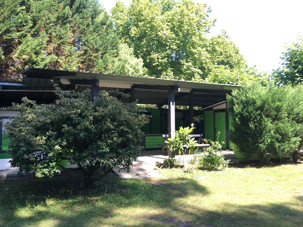 Caravaland - photo 5