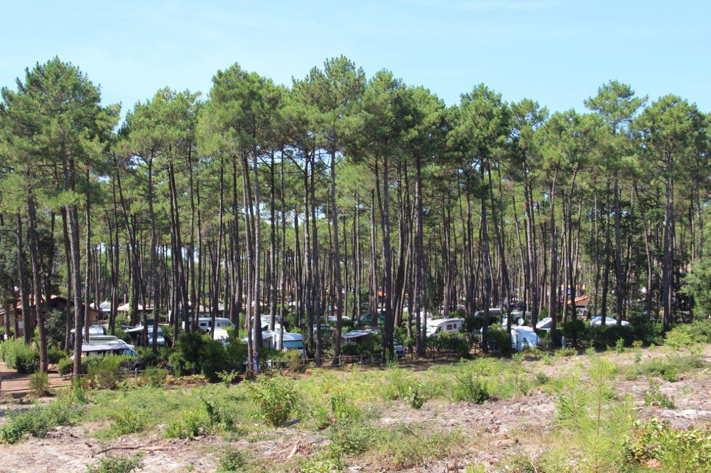 Aire de camping-cars du Cap de l'Homy