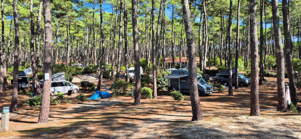 Camping Municipal du Cap de l'Homy