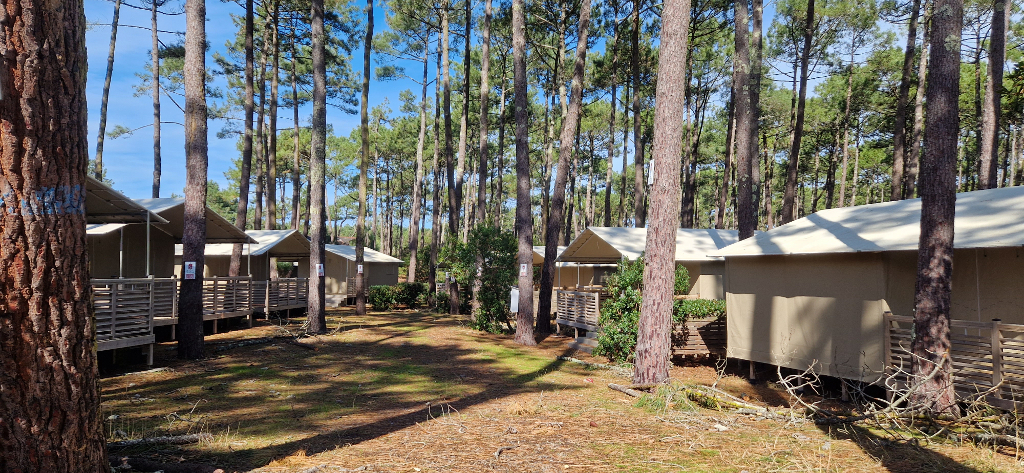 Camping Municipal du Cap de l'Homy - photo 3