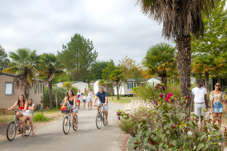 Homair Vacances - Les Vignes - photo 4