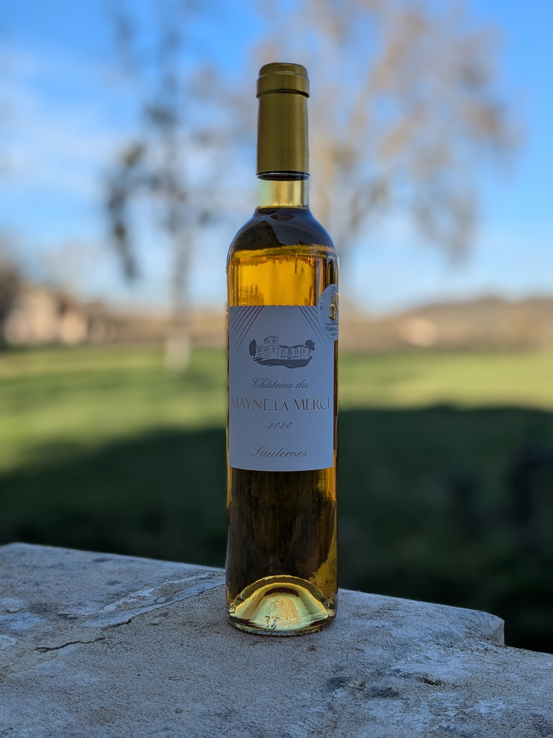 Château du Mayne La Merci