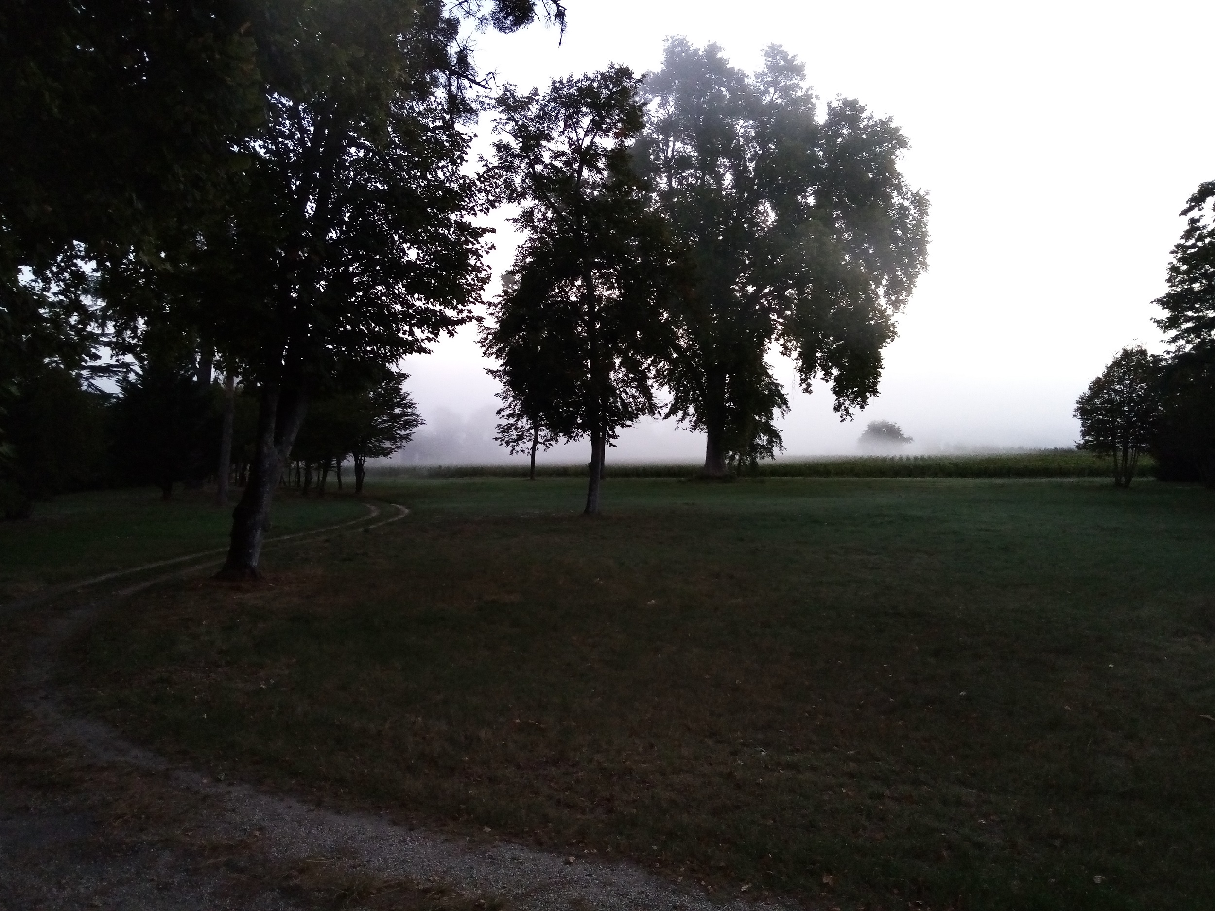 Château du Mayne La Merci — photo 3