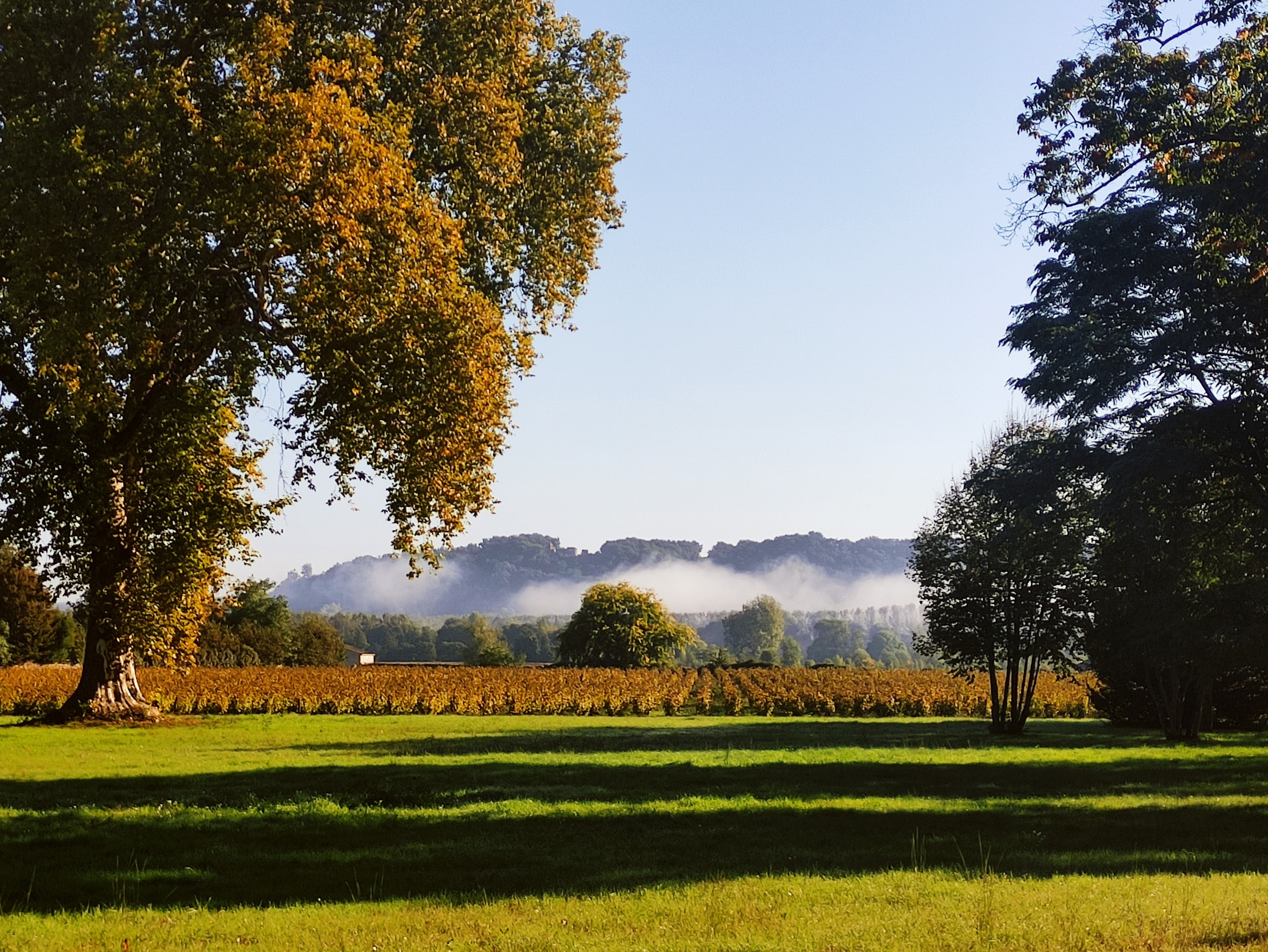 Château du Mayne La Merci — photo 2